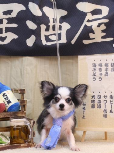 20240611レイくん